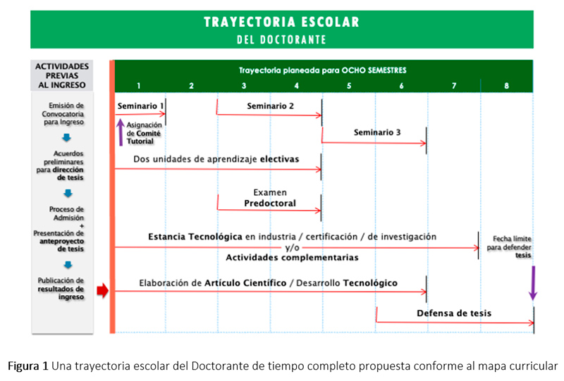 Trayectoria escolar